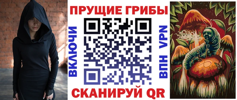 кракен зеркало  Улан-Удэ  Псилоцибиновые грибы прущие грибы 